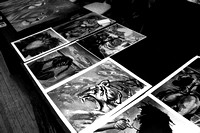 IMG_9078
